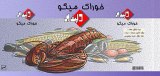  کاتالوگ--باگرد-R44 - بسته بندی 